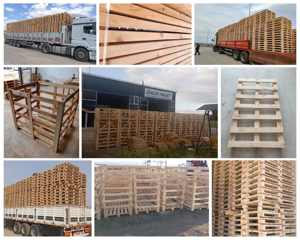 Mazzarino Palette Europe, Acheter des palettes en gros